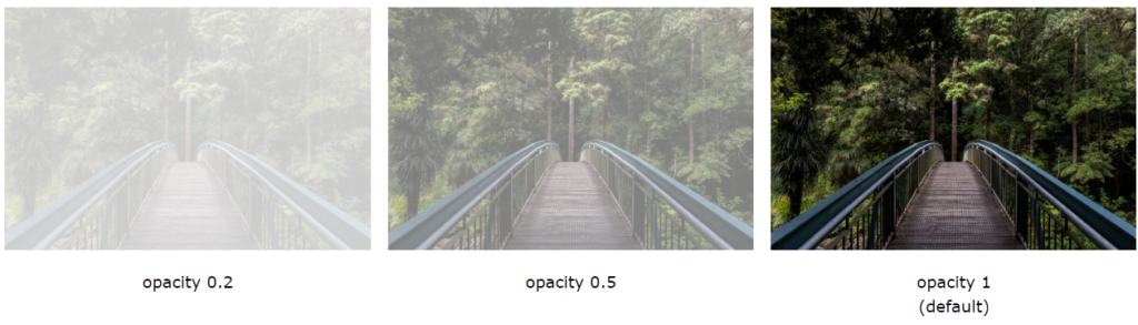 CSS Opacity -