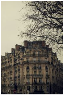 CSS Object-position -