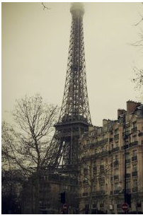 CSS Object-position -